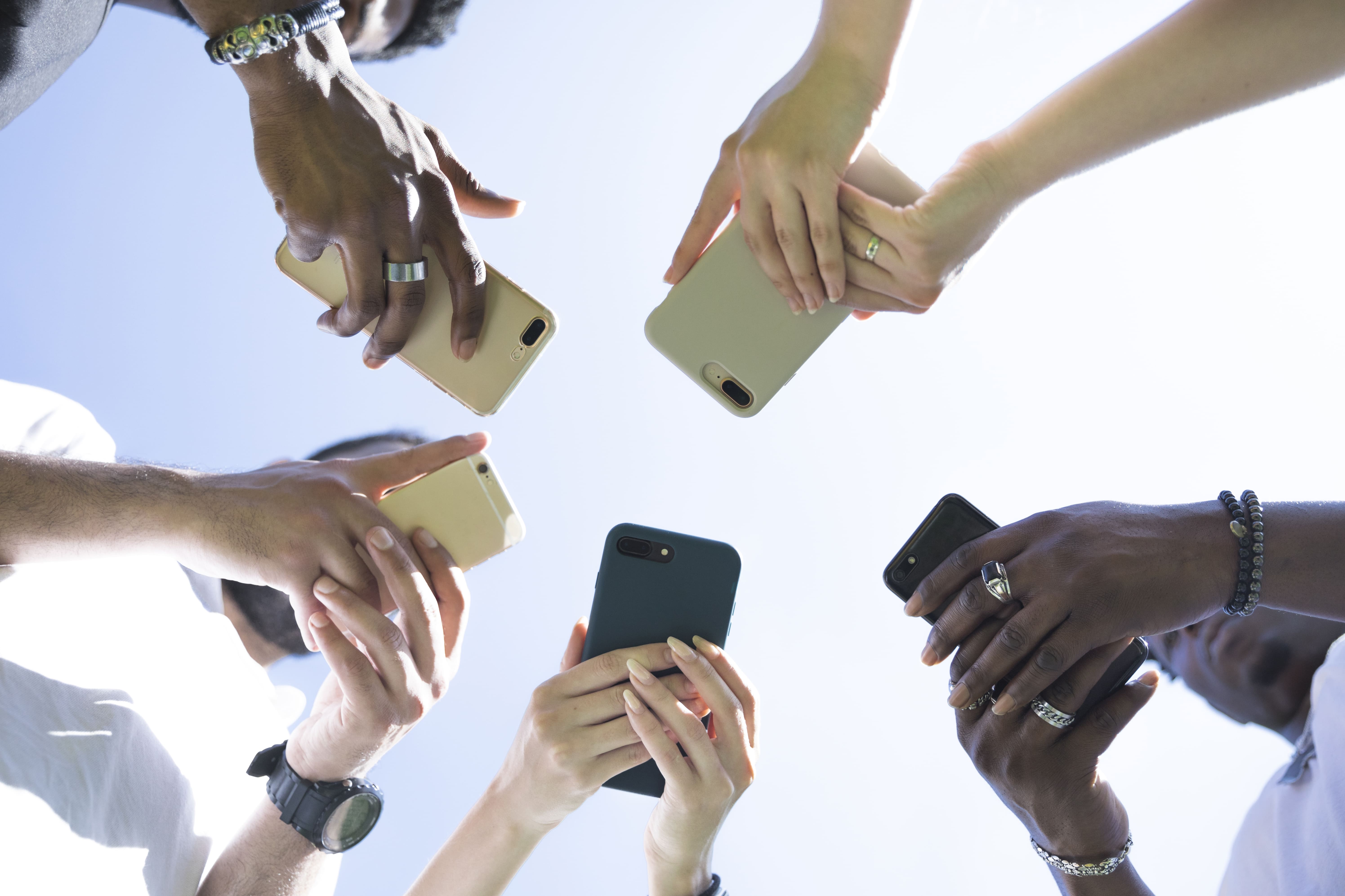 Professional team members networking